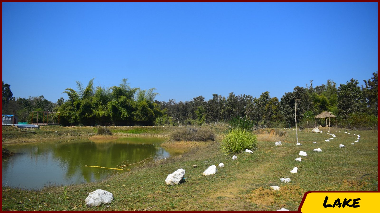images